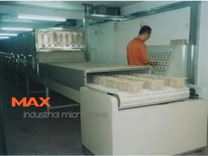 Industrial Microwave Dry Paper Products